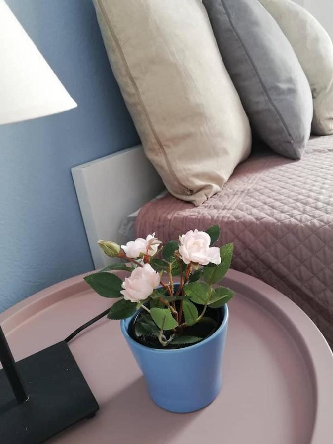 The Rose Apartment فولوس المظهر الخارجي الصورة